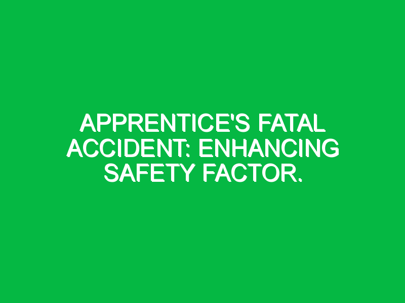 Apprentice’s fatal accident: Enhancing safety factor.
