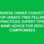 Business Owner Convicted for Unsafe Tree Felling Practices: Expert Tips & Advice for Zero Compromises
