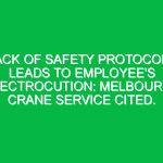 Lack of Safety Protocols Leads to Employee’s Electrocution: Melbourne Crane Service Cited.