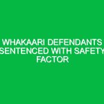Whakaari defendants sentenced with safety factor
