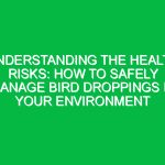 Understanding the Health Risks: How to Safely Manage Bird Droppings in Your Environment