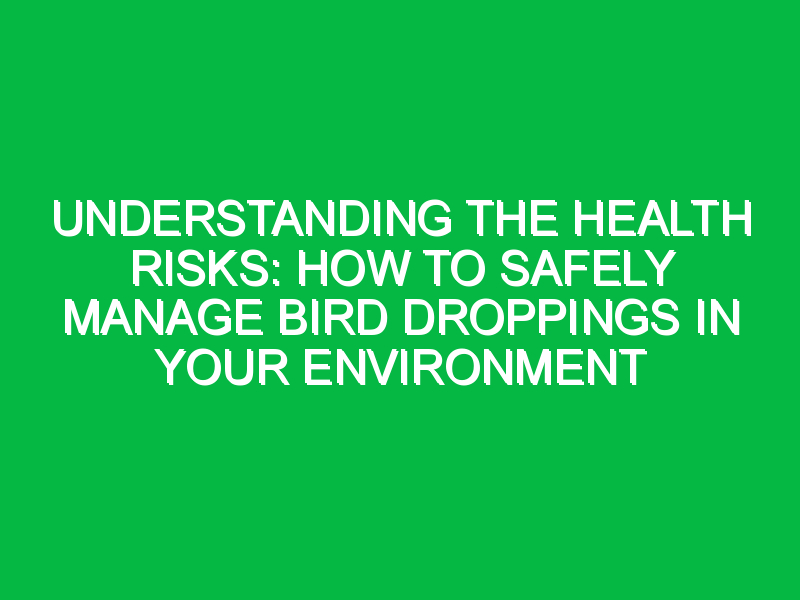 Understanding the Health Risks: How to Safely Manage Bird Droppings in Your Environment
