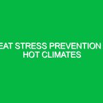 Heat Stress Prevention in Hot Climates