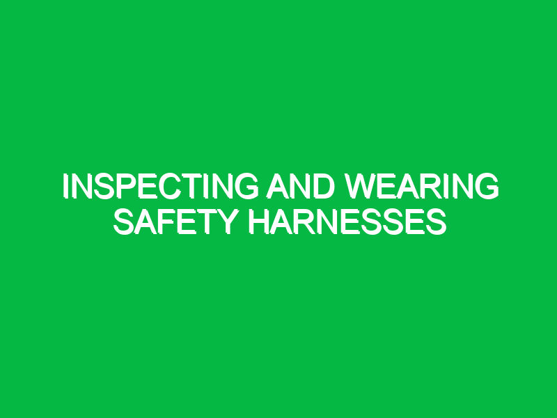 Inspecting and wearing safety harnesses