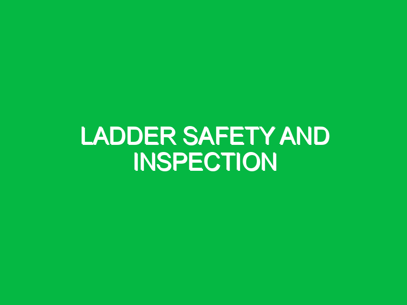 Ladder safety and inspection