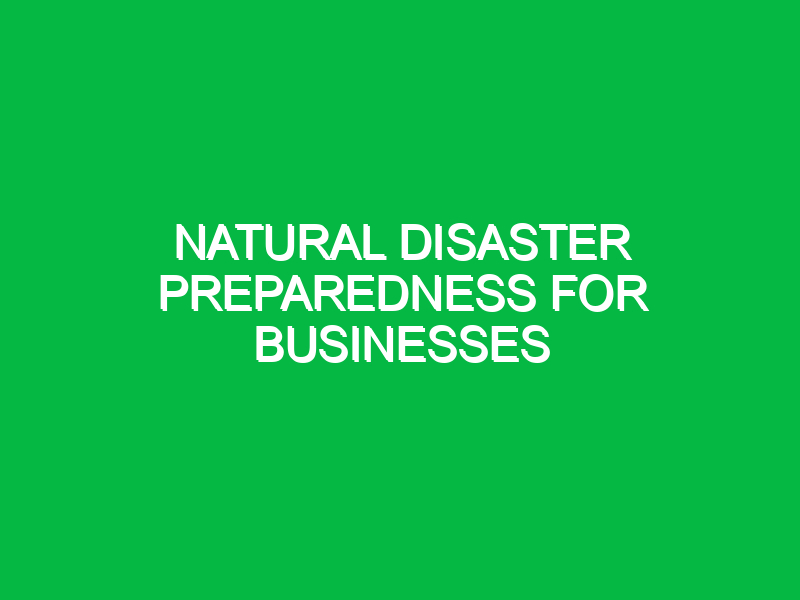 Natural disaster preparedness for businesses