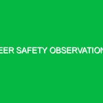 Peer safety observations