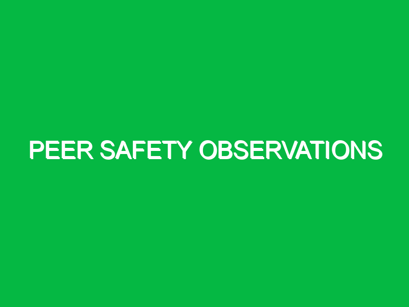 Peer safety observations