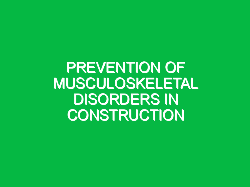 Prevention of Musculoskeletal Disorders in Construction