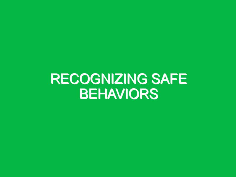 Recognizing safe behaviors