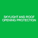 Skylight and roof opening protection