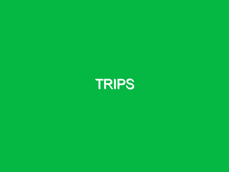 trips