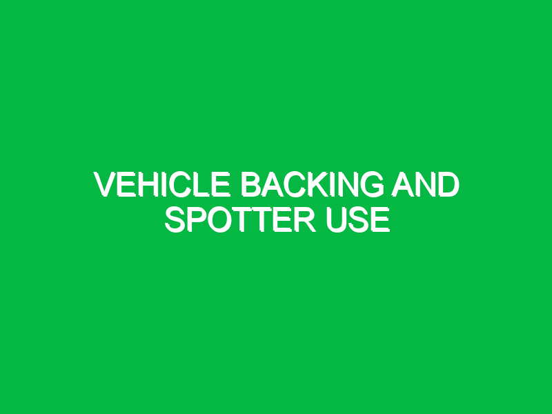 Vehicle backing and spotter use