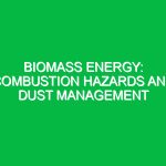 Biomass energy: Combustion hazards and dust management