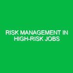 Risk Management in High-Risk Jobs