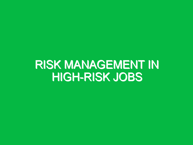 Risk Management in High-Risk Jobs