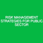 Risk Management Strategies for Public Sector