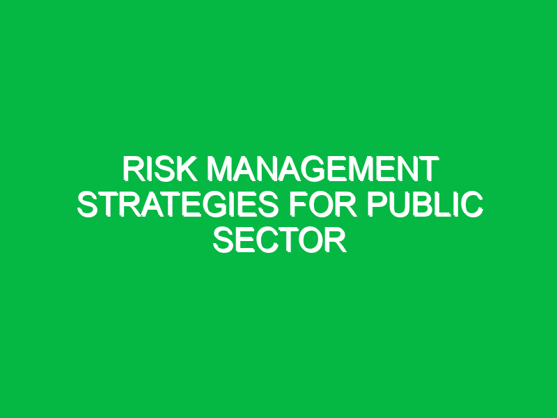 Risk Management Strategies for Public Sector