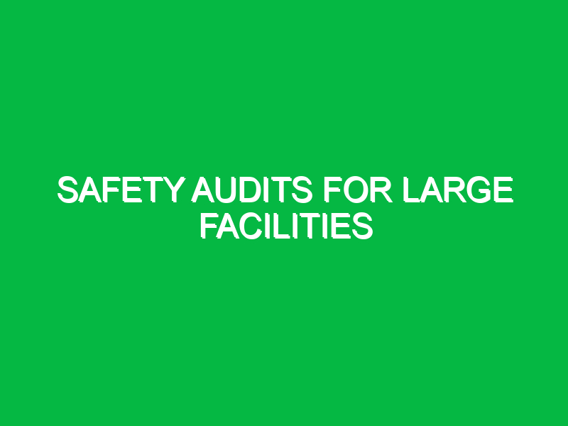 Safety Audits for Large Facilities