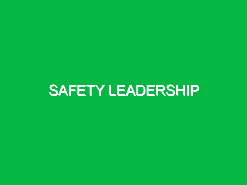 Safety Leadership