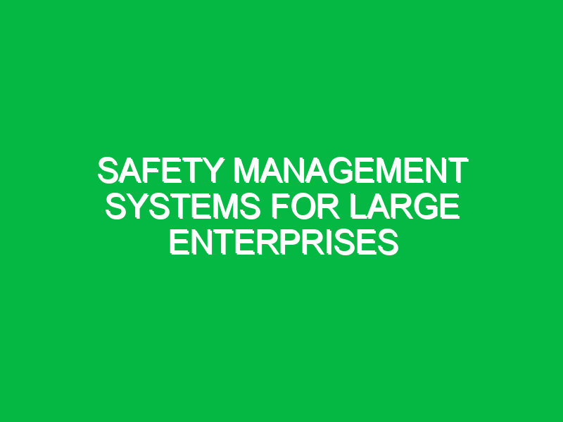 Safety Management Systems for Large Enterprises