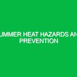 Summer heat hazards and prevention