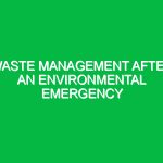 Waste management after an environmental emergency