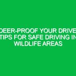 Deer-Proof Your Drive: Tips for Safe Driving in Wildlife Areas