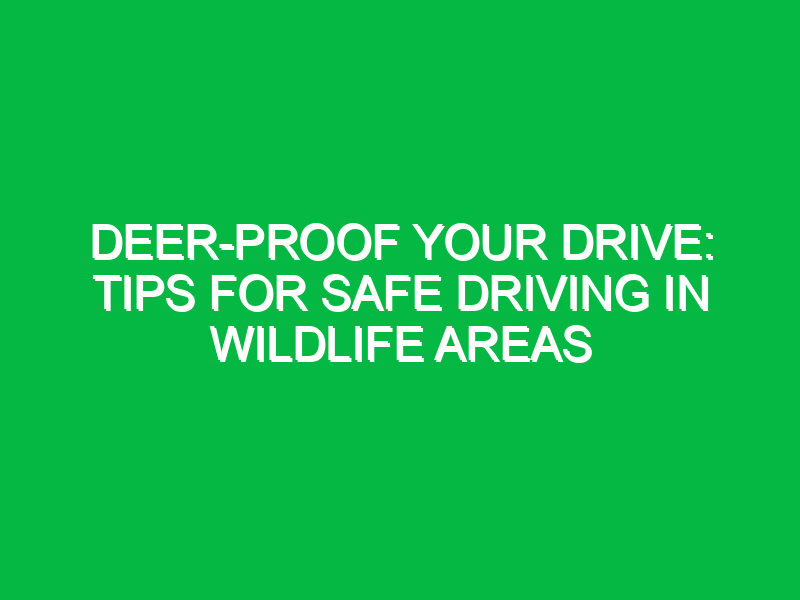 Deer-Proof Your Drive: Tips for Safe Driving in Wildlife Areas