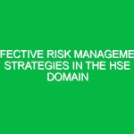 Effective Risk Management Strategies in the HSE Domain