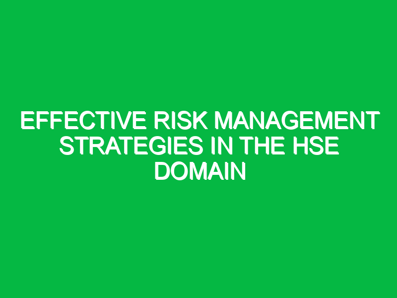 Effective Risk Management Strategies in the HSE Domain