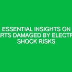 Essential Insights on Parts Damaged by Electric Shock Risks