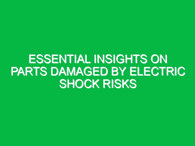 Essential Insights on Parts Damaged by Electric Shock Risks