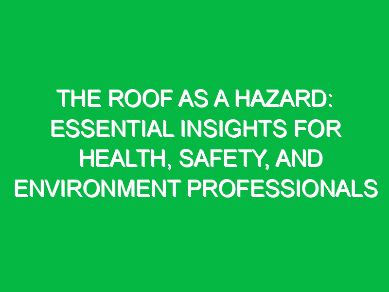 The Roof as a Hazard: Essential Insights for Health, Safety, and Environment Professionals