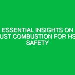 Essential Insights on Dust Combustion for HSE Safety