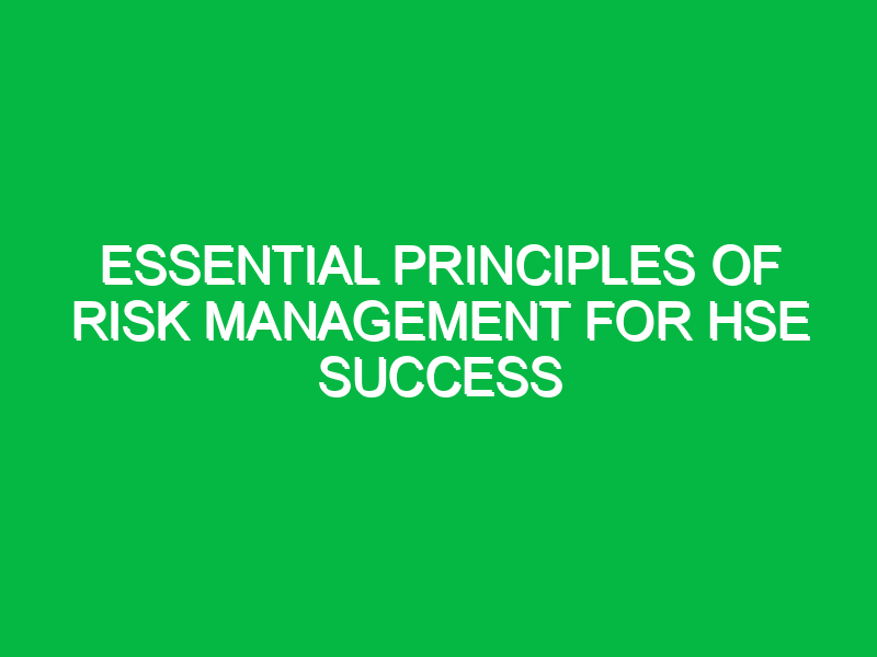Essential Principles of Risk Management for HSE Success