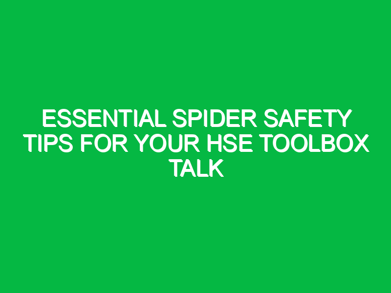 Essential Spider Safety Tips for Your HSE Toolbox Talk