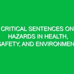 Critical Sentences on Hazards in Health, Safety, and Environment