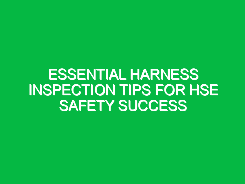 Essential Harness Inspection Tips for HSE Safety Success