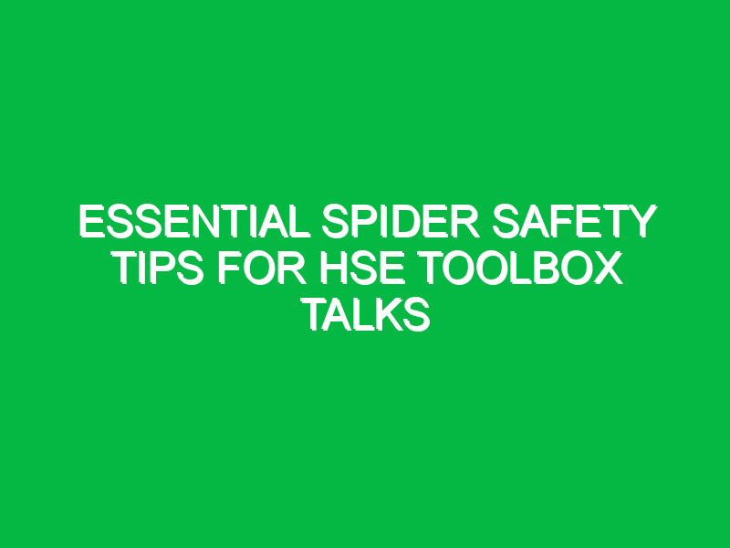 Essential Spider Safety Tips for HSE Toolbox Talks