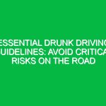 Essential Drunk Driving Guidelines: Avoid Critical Risks on the Road