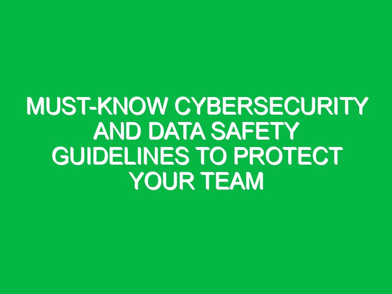 Must-Know Cybersecurity and Data Safety Guidelines to Protect Your Team