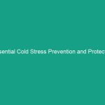 Essential Cold Stress Prevention and Protection in Construction Guidelines
