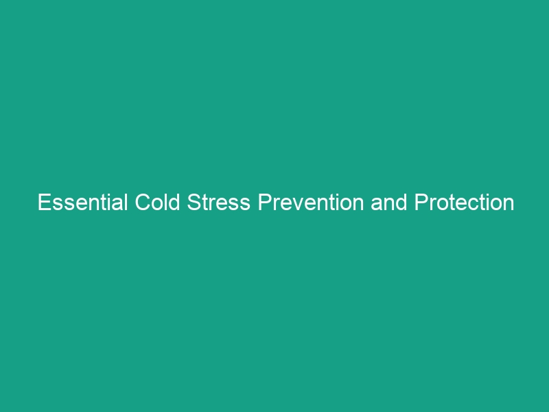 Essential Cold Stress Prevention and Protection in Construction Guidelines