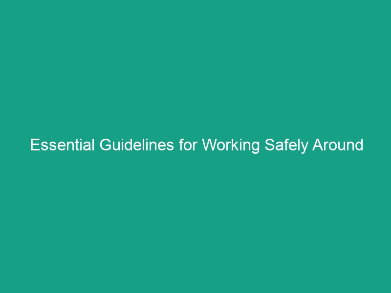 Essential Guidelines for Working Safely Around Utilities and Underground Services