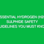 Essential Hydrogen (H2S) Sulphide Safety Guidelines You Must Know