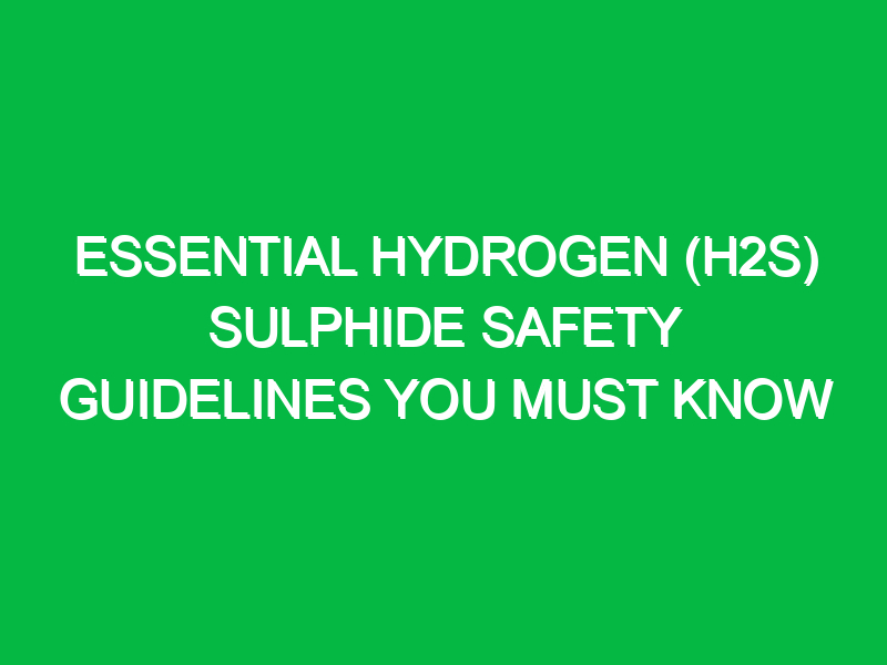 Essential Hydrogen (H2S) Sulphide Safety Guidelines You Must Know