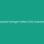 Essential Hydrogen Sulfide (H2S) Awareness Guidelines You Must Know
