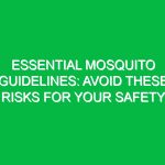 Essential Mosquito Guidelines: Avoid These Risks for Your Safety