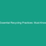 Essential Recycling Practices: Must-Know Guidelines for a Safer Workplace